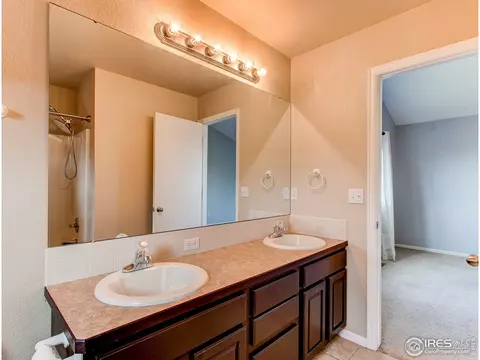 388 Bluegrass Ct, Windsor, CO 80550 photo 22