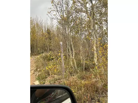 Fs713.1, Black Hawk, CO 80422 photo 14