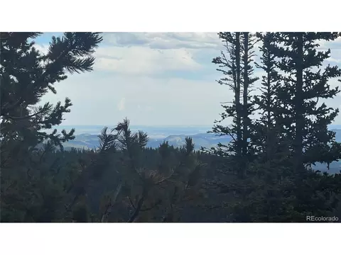 Fs713.1, Black Hawk, CO 80422 photo 18