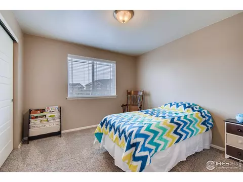 10106 Bradbury St, Firestone, CO 80504 photo 19