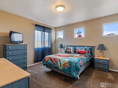 7877 E 139th Pl, Thornton, CO 80602 photo 24