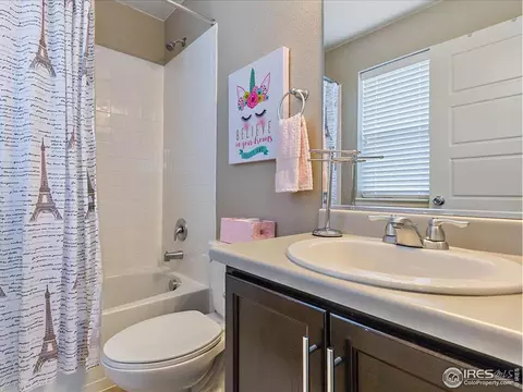 7877 E 139th Pl, Thornton, CO 80602 photo 28