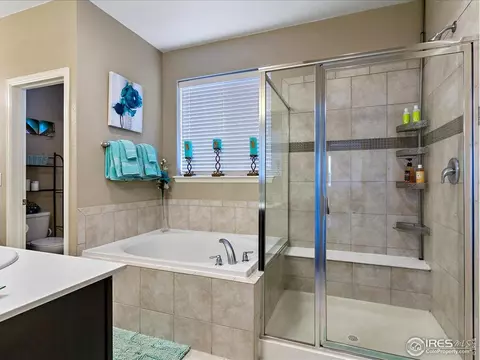 7877 E 139th Pl, Thornton, CO 80602 photo 16