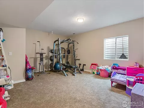 7877 E 139th Pl, Thornton, CO 80602 photo 36