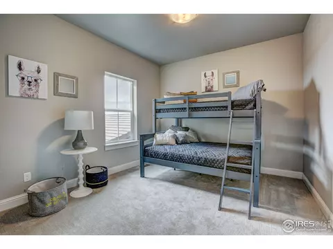 1520 Harebell St, Berthoud, CO 80513 photo 31