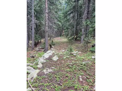 14 Long Rd, Idaho Springs, CO 80452