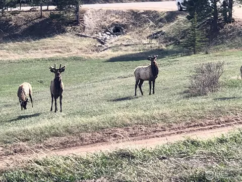 96 Taylor Rd, Lyons, CO 80540 photo 27
