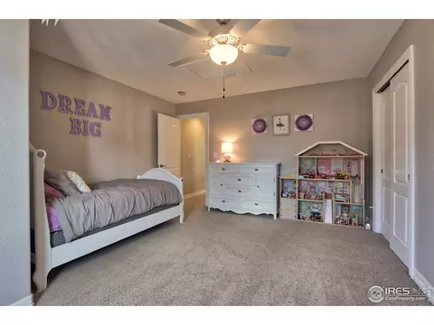 10238 Devonshire St, Firestone, CO 80504 photo 17