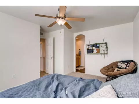 3113 Swan Point Dr, Evans, CO 80620 photo 17