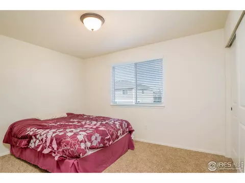 314 Torreys Dr, Severance, CO 80550 photo 11