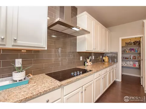 848 Wagon Bend Rd, Berthoud, CO 80513 photo 7