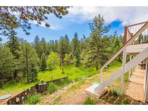 52 Little Spring Ln, Bailey, CO 80421 photo 14