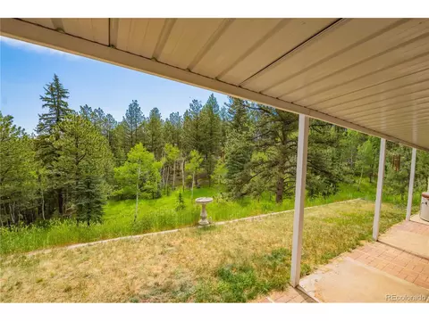 52 Little Spring Ln, Bailey, CO 80421 photo 12