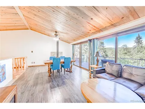 52 Little Spring Ln, Bailey, CO 80421 photo 15