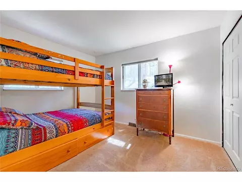 52 Little Spring Ln, Bailey, CO 80421 photo 24