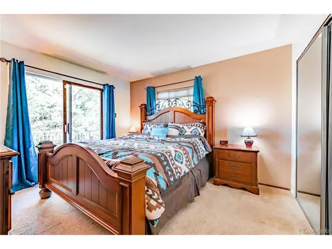 52 Little Spring Ln, Bailey, CO 80421 photo 21