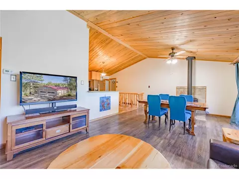 52 Little Spring Ln, Bailey, CO 80421 photo 20