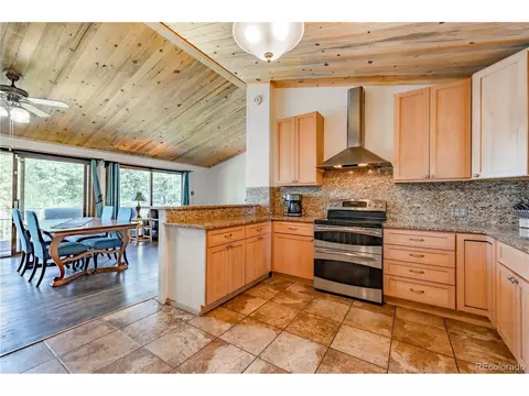 52 Little Spring Ln, Bailey, CO 80421 photo 16