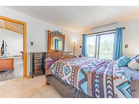 52 Little Spring Ln, Bailey, CO 80421 photo 23