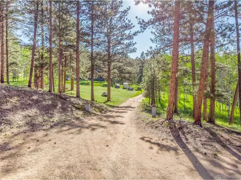 52 Little Spring Ln, Bailey, CO 80421 photo 38