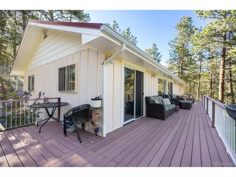 52 Little Spring Ln, Bailey, CO 80421 photo 9