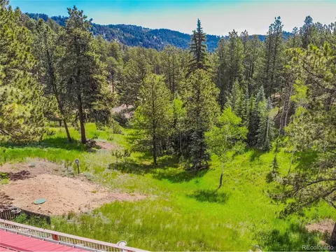 52 Little Spring Ln, Bailey, CO 80421 photo 5