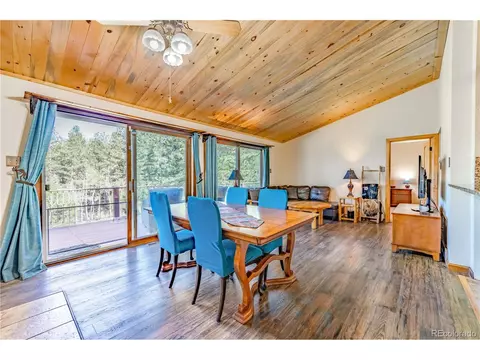 52 Little Spring Ln, Bailey, CO 80421 photo 19