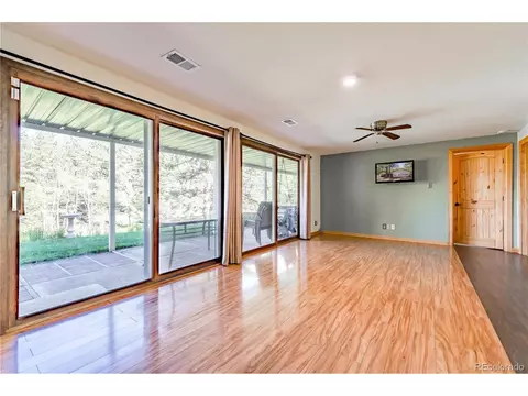 52 Little Spring Ln, Bailey, CO 80421 photo 25