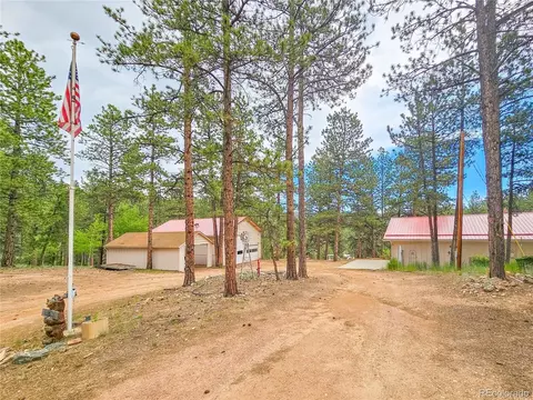 52 Little Spring Ln, Bailey, CO 80421 photo 8