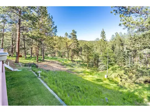 52 Little Spring Ln, Bailey, CO 80421 photo 13