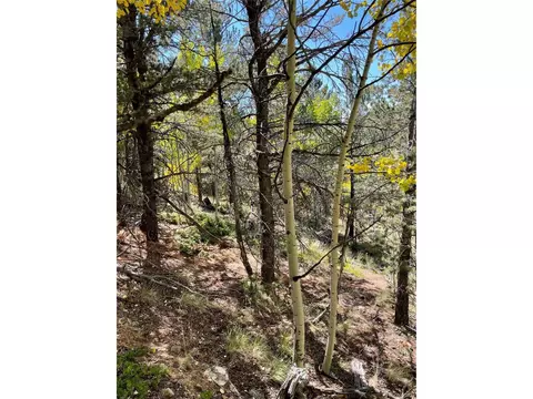 773 Calcite Dr, Divide, CO 80814 photo 4