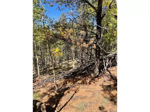 773 Calcite Dr, Divide, CO 80814 photo 2
