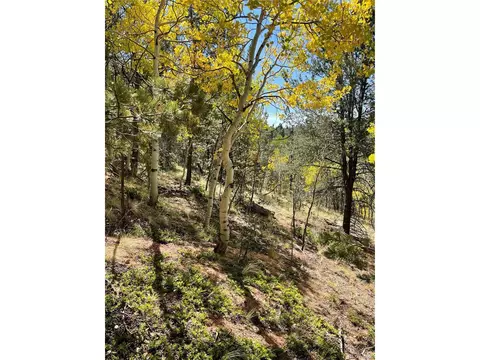 773 Calcite Dr, Divide, CO 80814 photo 1