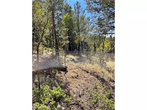 773 Calcite Dr, Divide, CO 80814 photo 3