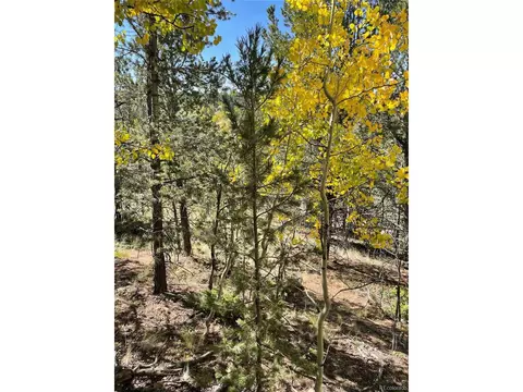 773 Calcite Dr, Divide, CO 80814 photo 5