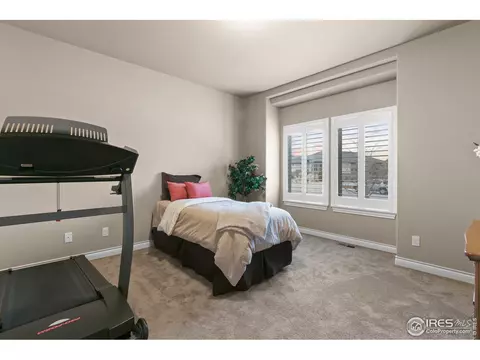 7243 Crystal Downs Dr, Windsor, CO 80550 photo 23
