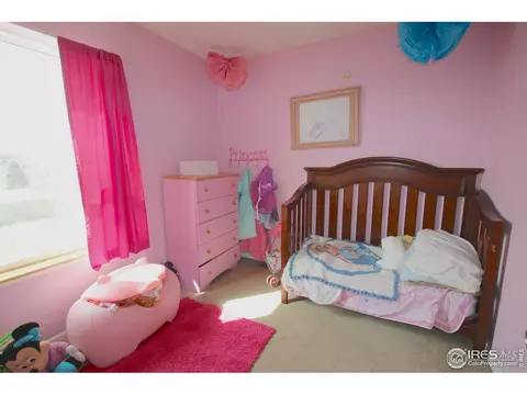 612 Mountain Ave, Pierce, CO 80650 photo 13