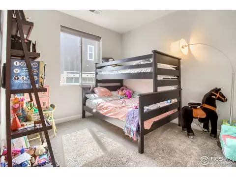 5244 Carmon Dr, Windsor, CO 80550 photo 24