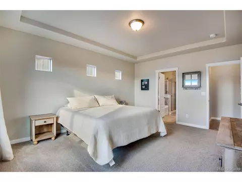 2162 Reliance Ct, Windsor, CO 80550 photo 29