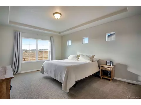 2162 Reliance Ct, Windsor, CO 80550 photo 28
