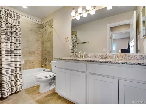2162 Reliance Ct, Windsor, CO 80550 photo 41