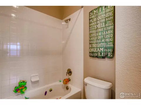 5709 Aksarben Dr, Windsor, CO 80550 photo 30