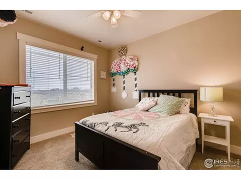 5709 Aksarben Dr, Windsor, CO 80550 photo 27