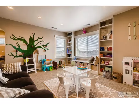 5709 Aksarben Dr, Windsor, CO 80550 photo 34