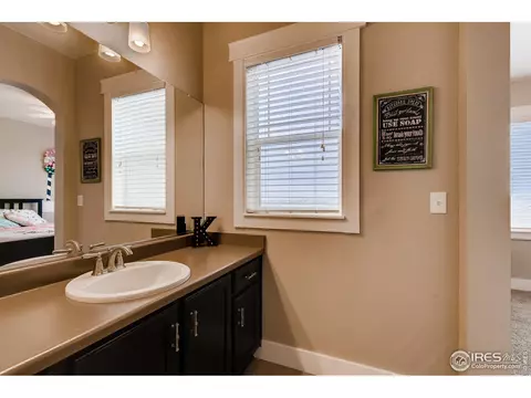 5709 Aksarben Dr, Windsor, CO 80550 photo 29