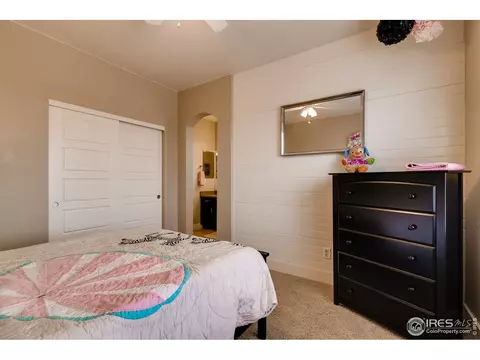 5709 Aksarben Dr, Windsor, CO 80550 photo 28