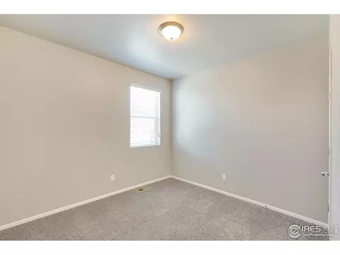 949 Camberly Ct, Windsor, CO 80550 photo 19