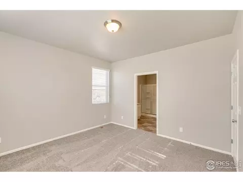 949 Camberly Ct, Windsor, CO 80550 photo 20