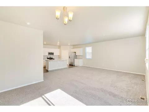 949 Camberly Ct, Windsor, CO 80550 photo 3