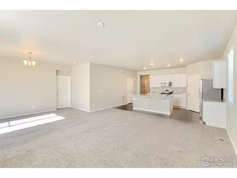 949 Camberly Ct, Windsor, CO 80550 photo 4